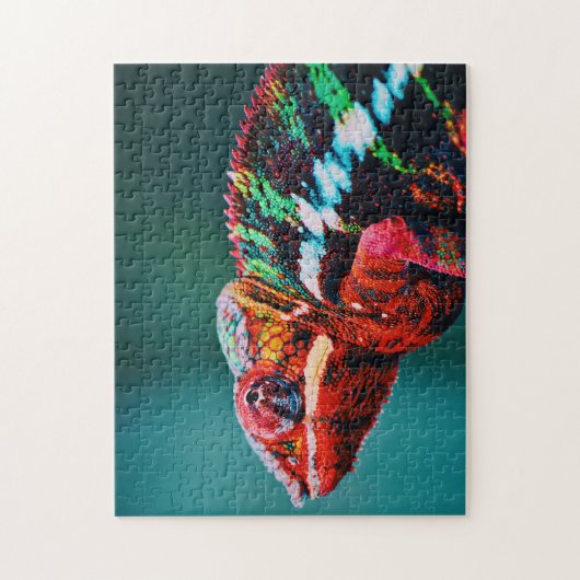 Color Changing Rainbow Chameleon Reptile Puzzle (Vertikal)