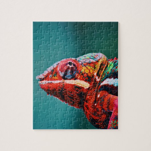 Color Changing Rainbow Chameleon Reptile Puzzle (Vertikal)