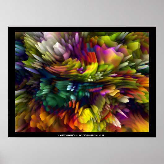 Color Explosion Poster (Vorne)