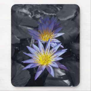 Color key Water Lilies Mousepad