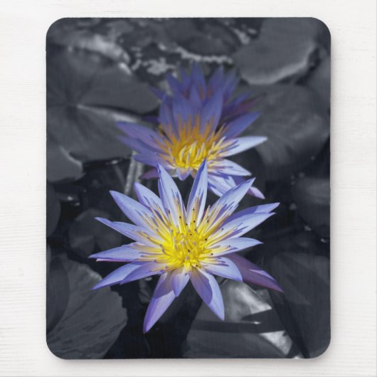Color key Water Lilies Mousepad (Vorne)