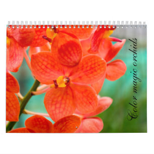 Color magic orchids kalender