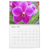 Color magic orchids kalender (Feb 2027)