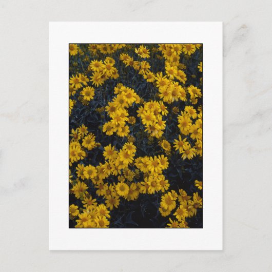 " Color Me Yellow " Postkarte (Vorderseite)