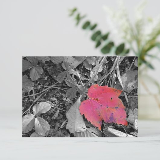 Color Pop Red Leaf Dankeskarte (Stehend Vorderseite)