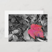 Color Pop Red Leaf Dankeskarte (Vorne/Hinten)