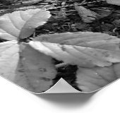 Color Pop Red Leaf Poster (Ecke)