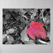 Color Pop Red Leaf Poster (Vorne)