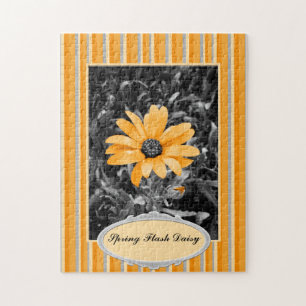 Color Splash Spring Flash African Daisy Foto Puzzle