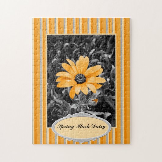 Color Splash Spring Flash African Daisy Fotografie Puzzle (Vertikal)