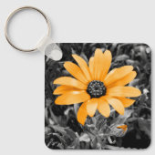 Color Splash Spring Flash African Daisy Fotografie Schlüsselanhänger (Vorderseite)