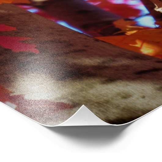 "Color-Splashed Critter" Fotodruck (Ecke)