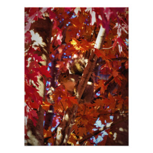 "Color-Splashed Critter" Fotodruck