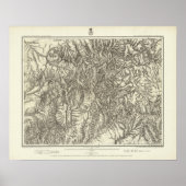 Colorado 10 poster (Vorne)