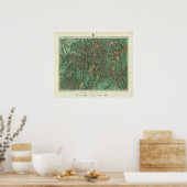 Colorado 5 poster (Küche)