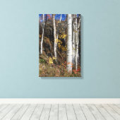 Colorado Aspen Designs Leinwanddruck (Insitu (Holzboden))