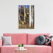 Colorado Aspen Designs Leinwanddruck (Insitu (Wohnzimmer))