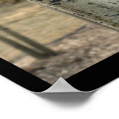 Colorado Aspen Trees Poster (Ecke)