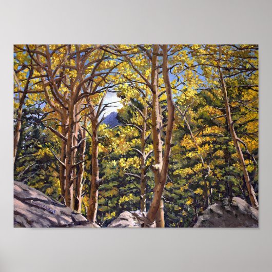 Colorado Aspens in Beautiful Autumn Splendor Poster (Vorne)