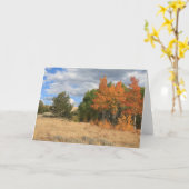 Colorado Autumn Aspen Trees Jeder Anlass Karte (Gelbe Blume)