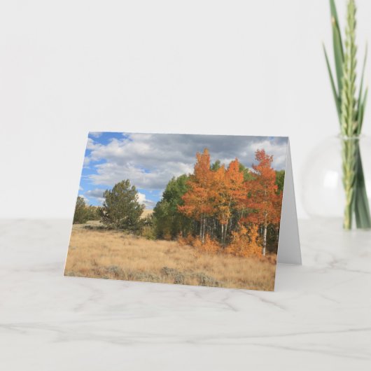 Colorado Autumn Aspen Trees Jeder Anlass Karte (Vorderseite)