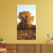 Colorado Beauty Leinwanddruck (Insitu (Wohnzimmer))