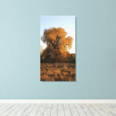 Colorado Beauty Leinwanddruck (Insitu (Holzboden))