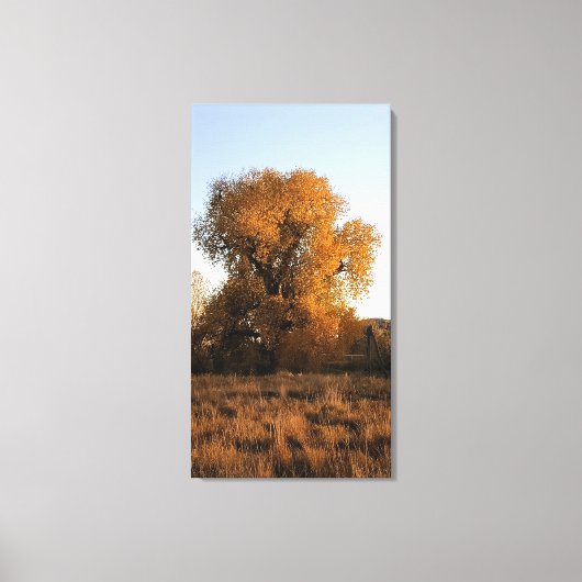 Colorado Beauty Leinwanddruck (Vorderseite)