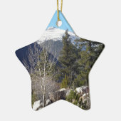 Colorado-Berg Keramikornament (Links)