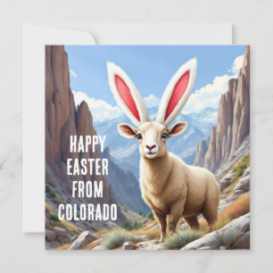 Colorado Bighorn Schafe mit dem Ohr eines Kaninche Feiertagskarte