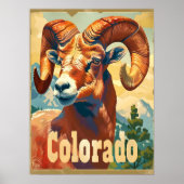 Colorado Bighorn Schafe Poster (Vorne)