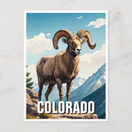 Colorado Bighorn Schafe reisen Souvenir Postkarte