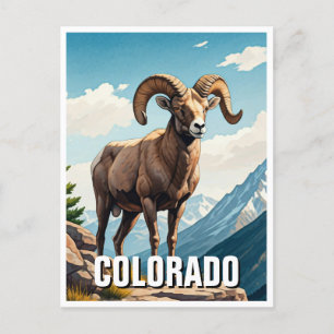 Colorado Bighorn Schafe reisen Souvenir Postkarte