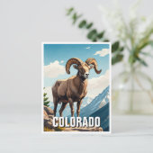 Colorado Bighorn Schafe reisen Souvenir Postkarte (Stehend Vorderseite)