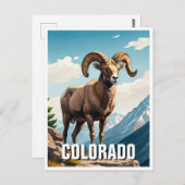 Colorado Bighorn Schafe reisen Souvenir Postkarte (Vorne/Hinten)