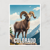 Colorado Bighorn Schafe reisen Souvenir Postkarte (Vorderseite)
