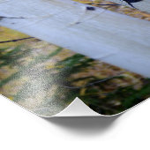 Colorado Birch Trees Fotodruck (Ecke)