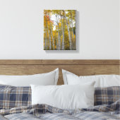 Colorado Birch Trees Leinwanddruck (Insitu (Schlafzimmer))