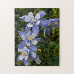 Colorado Blue Columbia nahe Telluride Colorado Puzzle