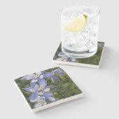 Colorado Blue Columbia nahe Telluride Colorado Steinuntersetzer (Seitenansicht)