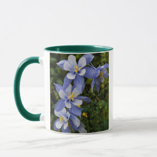Colorado Blue Columbia nahe Telluride Colorado Tasse