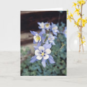 Colorado Blue Columbine Karte (Gelbe Blume)