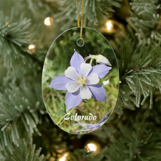Colorado Blue Columbine Ornament (Baum)