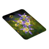Colorado Blue Columbine Painting - Original Art Magnet (Rechte Seite)