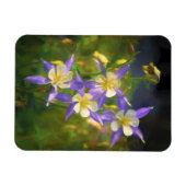 Colorado Blue Columbine Painting - Original Art Magnet (Horizontal)