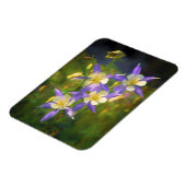 Colorado Blue Columbine Painting - Original Art Magnet (Linke Seite)