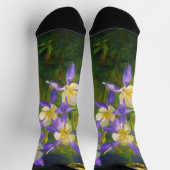 Colorado Blue Columbine Painting - Original Art Socken (Oben)