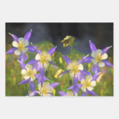 Colorado Blue Columbines Malerei Original Art Geschenkpapier Set (Vorderseite 3)