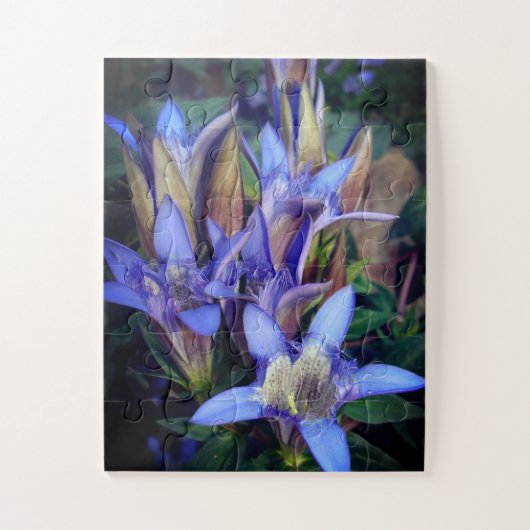 Colorado Blue Gentians Foto Puzzle (Vertikal)