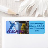 Colorado Blue Sky Mountain Nationalpark Eagle (Insitu)